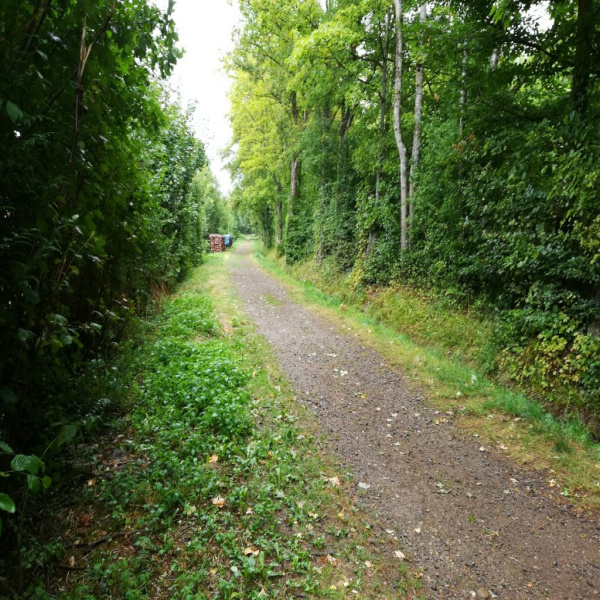 Offres de vente Maison Chavigny 54230